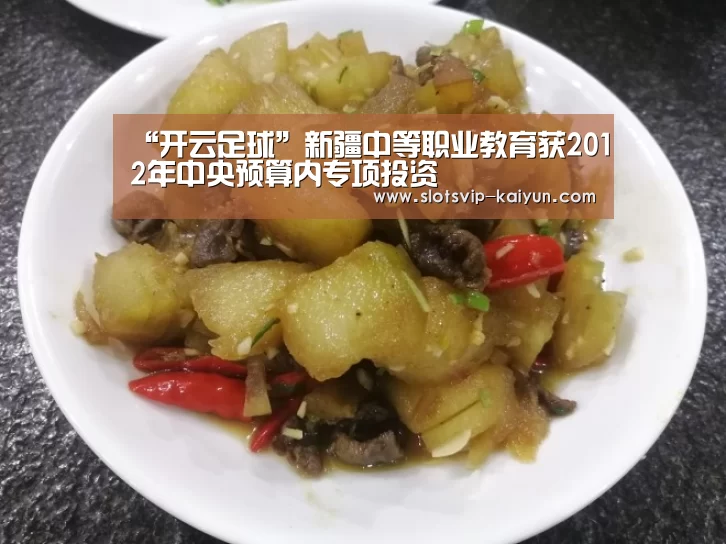 “开云足球”新疆中等职业教育获2012年中央预算内专项投资(图4) 开云篮球