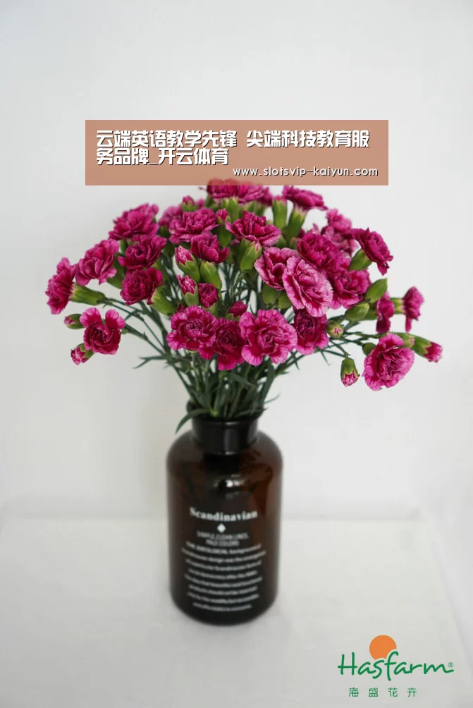云端英语教学先锋 尖端科技教育服务品牌_开云体育(图1) 开云赛事