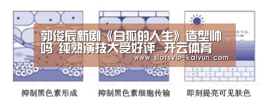 郭俊辰新剧《白狐的人生》造型帅吗 纯熟演技大受好评-开云体育(图3) 开云体育