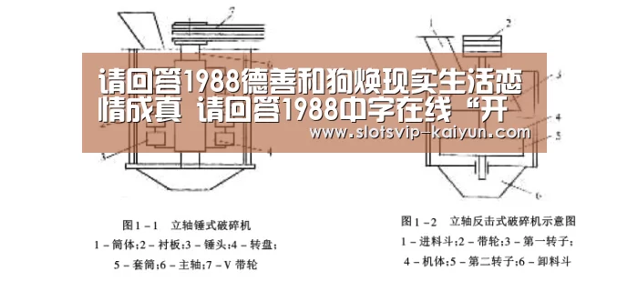 请回答1988德善和狗焕现实生活恋情成真 请回答1988中字在线“开云赛事”(图2) 开云赛事