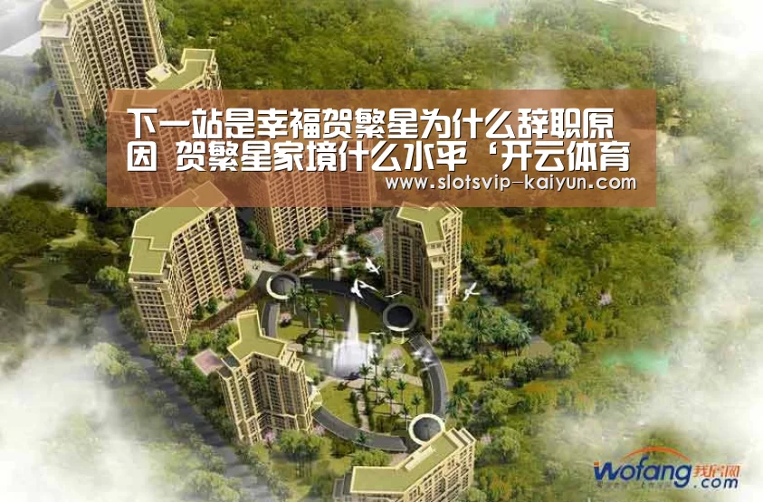 开云足球