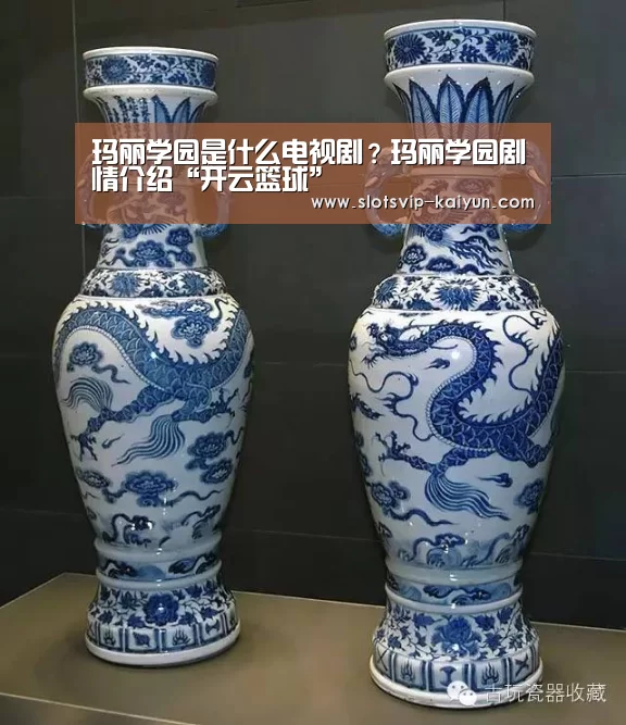 玛丽学园是什么电视剧?玛丽学园剧情介绍“开云篮球”(图1) 开云足球